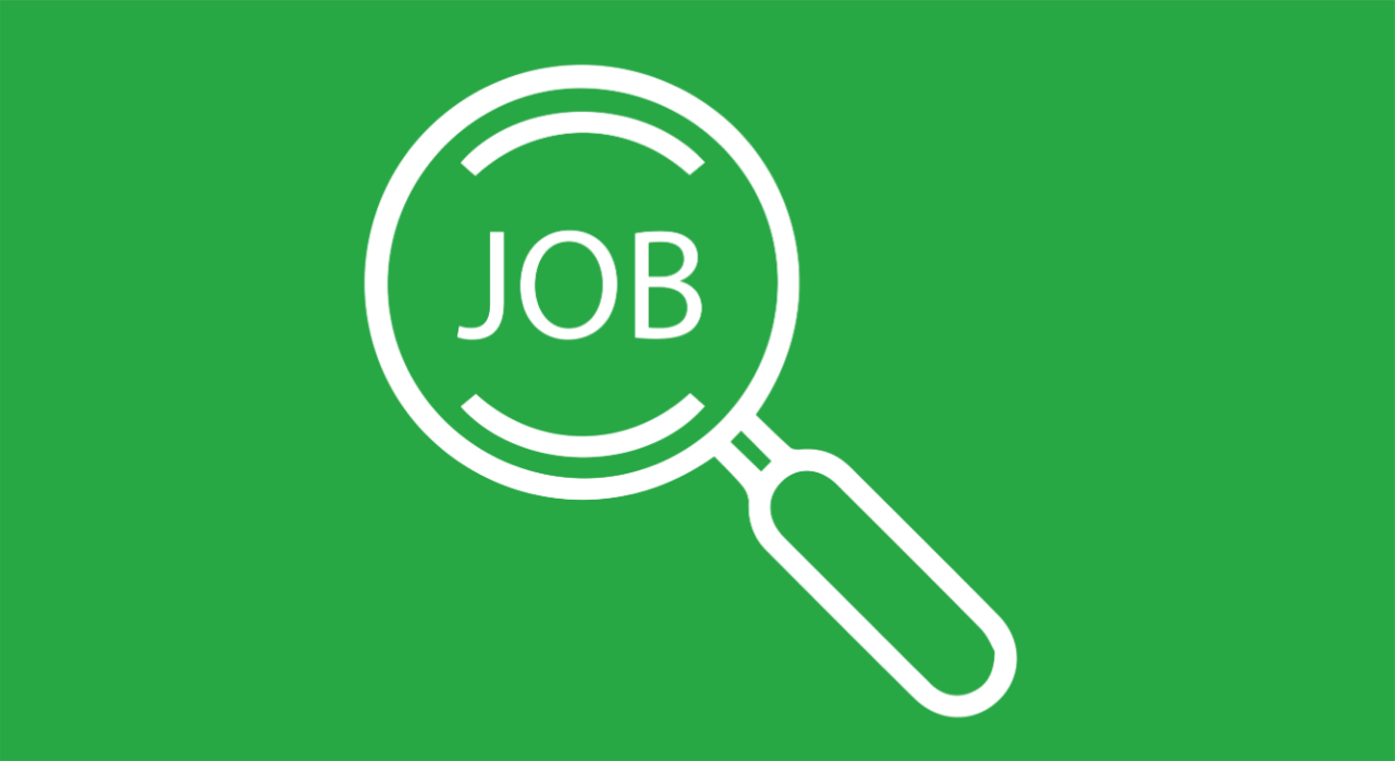 Ausbildung und Job